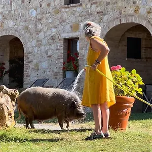 Sole Italië